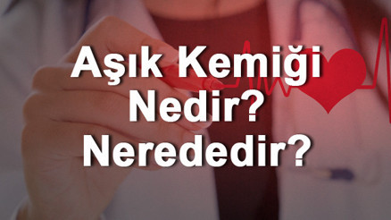 Aşık Kemiği Nedir Nerededir Aşık Kemiği Ağrısı, Kırığı Ve Tedavisi Aşık Kemiği Nedir Nerededir Aşık Kemiği Ağrısı, Kırığı Ve Tedavisi