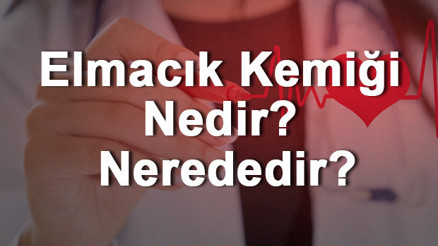 Elmacık Kemiği Nedir Nerededir Elmacık Kemiği Ağrısı, Kırığı Ve Tedavisi