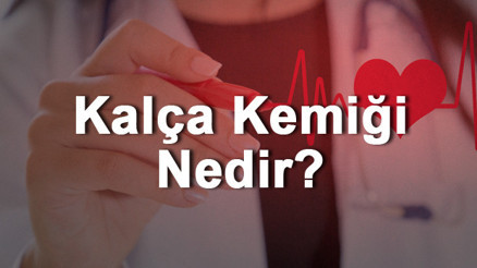 Kalça Kemiği Nedir Nerededir Kalça Kemiği Ağrısı, Kırığı Ve Tedavisi Kalça Kemiği Nedir Nerededir Kalça Kemiği Ağrısı, Kırığı Ve Tedavisi