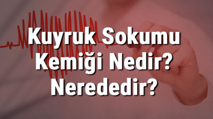 Kuyruk Sokumu Kemiği Nedir Nerededir Kuyruk Sokumu Kemiği Ağrısı Ve Tedavisi