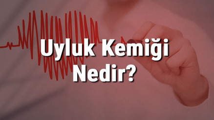 Uyluk Kemiği Nedir Nerededir Uyluk Kemiği Ağrısı, Kırığı Ve Tedavisi Uyluk Kemiği Nedir Nerededir Uyluk Kemiği Ağrısı, Kırığı Ve Tedavisi