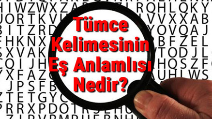 Tümce Kelimesinin Eş Anlamlısı Nedir Tümce Kelimesinin Eş Anlamlısı Nedir