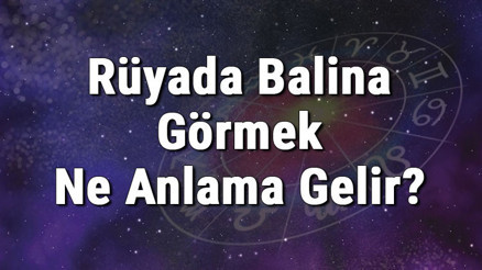 Rüyada Balina Görmek Ne Anlama Gelir Rüyada Balina Balığı Sevmek Ve Beslemek Anlamı
