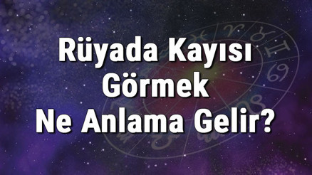 Rüyada Kayısı Görmek Ne Anlama Gelir Rüyada Kayısı Yemek Ve Toplamak Tabiri