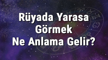 Rüyada Yarasa Görmek Ne Anlama Gelir Rüyada Yarasa Öldürmek Ve Kovmak Anlamı