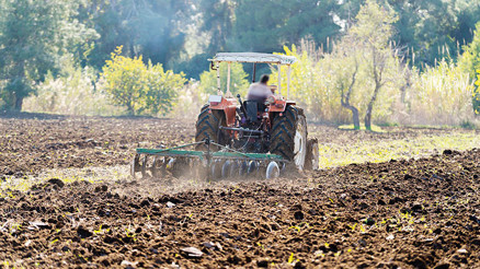 Türk çiftçisi işinin başında