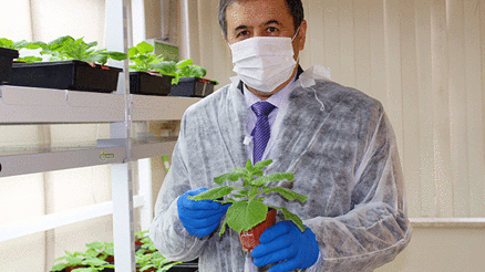 KORONAYA KARŞI ‘YEŞİL’ SİLAH