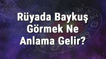 Rüyada Baykuş Görmek Ne Anlama Gelir Rüyada Baykuş Sevmek Ve Öldürmek Anlamı