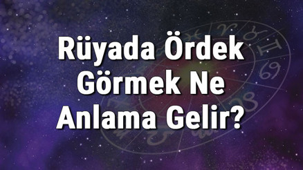 Rüyada Ördek Görmek Ne Anlama Gelir Rüyada Ördek Yavrusu Görmek Anlamımak Ne Anlama Gelir