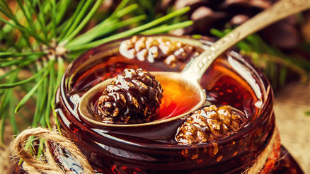Güçlü Bağışıklık Sisteminin Nükleer Yakıtı: Bal ve Pekmez