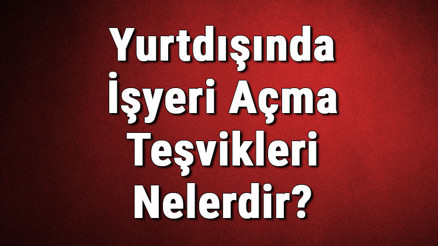 Yurtdışında İşyeri Açma Teşvikleri Nelerdir Şirket Açma Teşviği Nasıl Alınır
