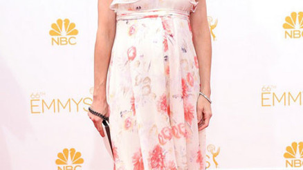 2014 Emmy Ödülleri kazananları ve kırmızı halı