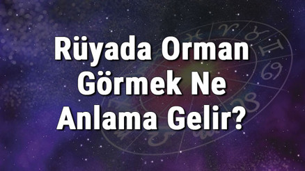 Rüyada Orman Görmek Ne Anlama Gelir Rüyada Ormanda Olmak, Koşmak Ve Ormana Gitmek Anlamı