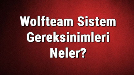 Wolfteam Sistem Gereksinimleri Neler Wolfteam İçin Önerilen Ve Minimum (En Düşük) Gereksinimler