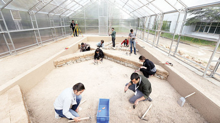 62 alanda 12 ay kazı 62 alanda 12 ay kazı