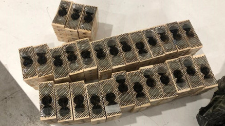 Şoke eden operasyon Bin 500 canlı kraliçe arı ele geçirildi