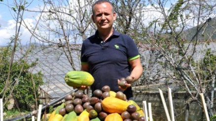 Tropik meyvede 1 milyar dolarlık ihracat hedefi