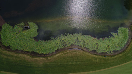 Görünüşüyle büyülüyor... Koparmanın cezası 146 bin TL