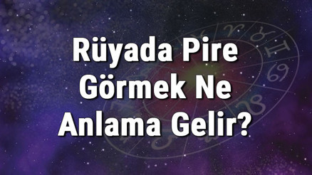Rüyada Pire Görmek Ne Anlama Gelir Rüyada Pire Öldürmek Ve Temizlemek Tabiri