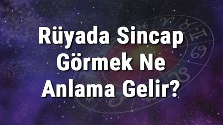 Rüyada Sincap Görmek Ne Anlama Gelir Rüyada Sincap Beslemek Ve Yakalamak Tabiri
