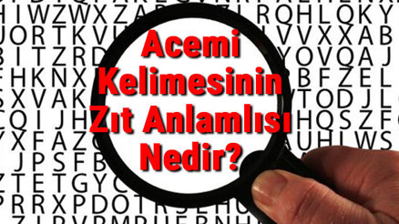 Acemi Kelimesinin Zıt Anlamlısı Nedir Aceminin Zıt Anlamlısı