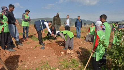 Mersinde tahrip edilen ormanlık alan İdlib Şehitleri Hatıra Ormanı oldu Mersinde tahrip edilen ormanlık alan İdlib Şehitleri Hatıra Ormanı oldu