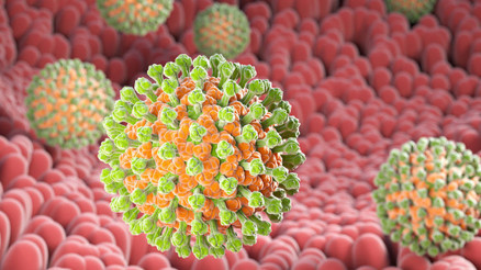 Mikrobiyota nedir ve bağışıklık sistemine etkileri nelerdir