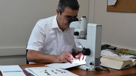 Ege Bölgesinde 8 yeni kekik türü keşfedildi