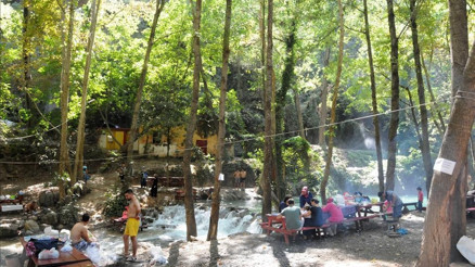 Mesire alanları, parklar, piknik yerleri ne zaman açılacak Cumhurbaşkanı tarih verdi