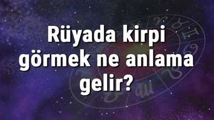 Rüyada kirpi görmek ne anlama gelir Rüyada kirpi sevmek ve yakalamak tabiri