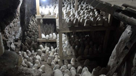 Rokfora rakip... Tam 45 ton mağarada saklanıyor