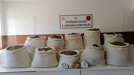 Diyarbakırda 2 milyon 452 bin kök Hint keneviri ele geçirildi