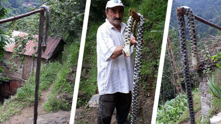 SON DAKİKA HABERİ: Karadenizde büyük tehlike... Önce Trabzon sonra Sinop ve Artvinde görüldü...