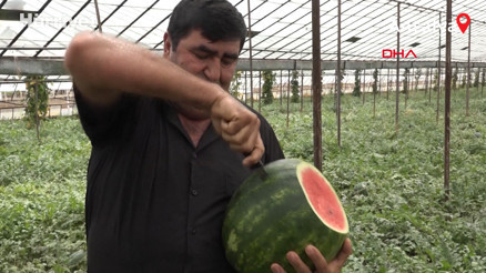 10 yıldır kekik aromalı karpuz üretiyor 10 yıldır kekik aromalı karpuz üretiyor