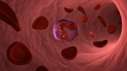 BAS nedir BAS kan değeri kaç olmalıdır Düşüklüğü ile yüksekliği nedenleri ve belirtileri