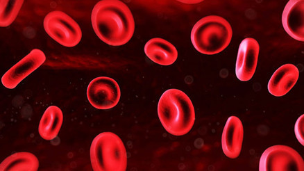 Eozinofil nedir Eozinofil değeri kaç olmalıdır Düşüklüğü ile yükseliği nedenleri ve belirtileri