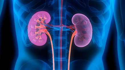 GFR nedir GFR değeri kaç olmalıdır Düşüklüğü ile yüksekliği nedenleri ve belirtileri