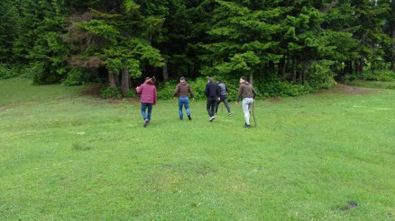 Karadenizde sayıları arttı, bölge halkı tedirgin Değnekle dolaşıyorlar Karadenizde sayıları arttı, bölge halkı tedirgin Değnekle dolaşıyorlar