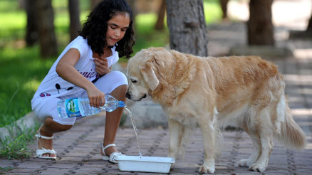 Bir yudum bile hayati önemde