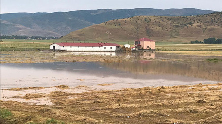 Sağanak yağış Muşu sert vurdu