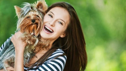 Köpek bakımı hakkında bilmeniz gerekenler