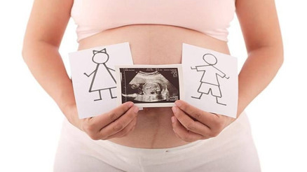 Yumurtlama gününe göre cinsiyet belirlenebilir mi