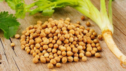 Kişniş nedir Kişnişin faydaları nelerdir