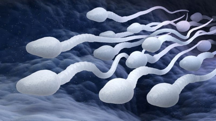 Düşük sperm sayısı daha ciddi hastalıkların habercisi olabilir mi Düşük sperm sayısı daha ciddi hastalıkların habercisi olabilir mi