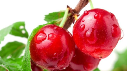 Vişne sapı yağları yakmaya yardımcı olur mu