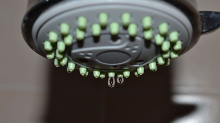 Bu mikrop duş başlığından bulaşıyor