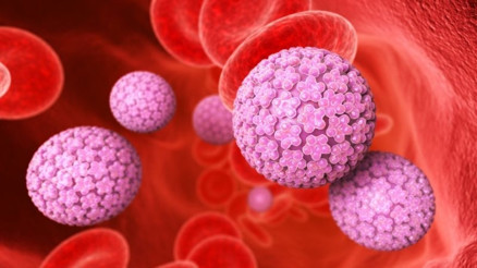 Her 10 kişiden 1’inde HPV görülüyor Her 10 kişiden 1’inde HPV görülüyor