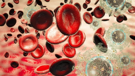 Bugün 1 Aralık Dünya AIDS Günü