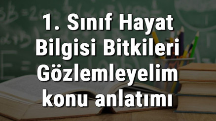 1. Sınıf Hayat Bilgisi Bitkileri Gözlemleyelim konu anlatımı