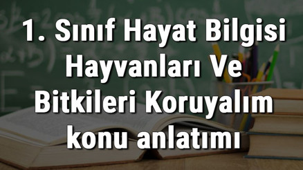 1. Sınıf Hayat Bilgisi Hayvanları Ve Bitkileri Koruyalım konu anlatımı 1. Sınıf Hayat Bilgisi Hayvanları Ve Bitkileri Koruyalım konu anlatımı